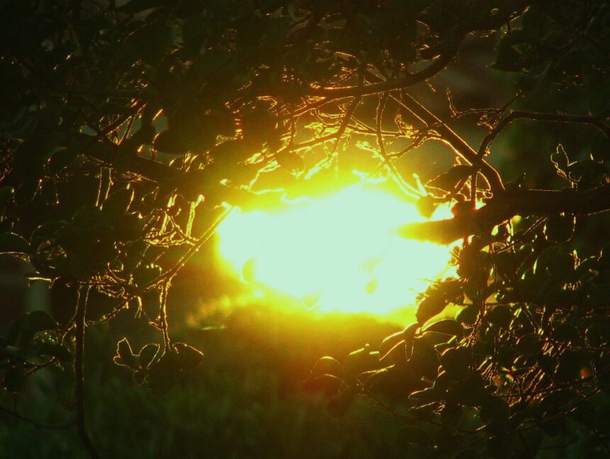 A Conversation with the Sun (VR)